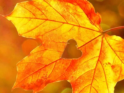 A Swirl Of Gratitude