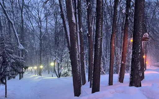 A Swirling Snowflake 