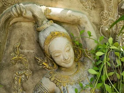 A Talk About The Human Body & Being A Woman