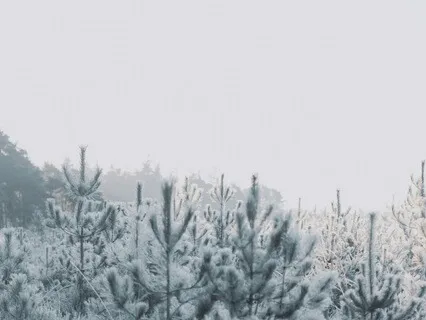 A Talk On Equanimity For The New Year