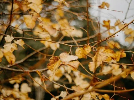 A Talk On Gratitude: What It Is & How To Cultivate It