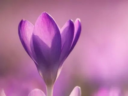 A Talk On New Beginnings: Self-Compassion, Healing & Hope