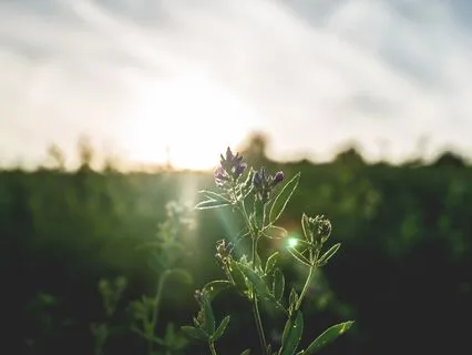A Tarot Reading For Self-Love When You Don't Feel Any
