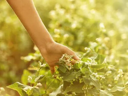 A Tarot Reading For You - Feeling Isolated And Alone