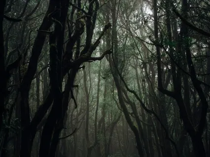 A Terribly Strange Bed By Wilkie Collins