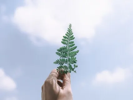 A Thank You Letter To God