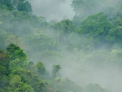 A Thoughtless Morning