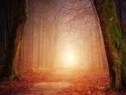 A Three-Breath Reset For Hectic Days