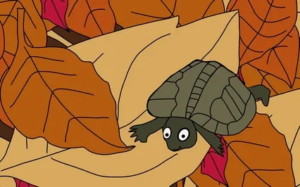 A Tiny Tortoise’s Journey of One Thousand Miles