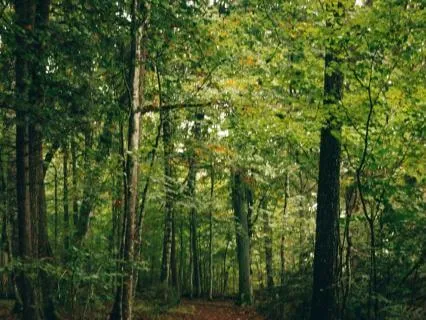 A Trauma-Sensitive Mindfulness Practice