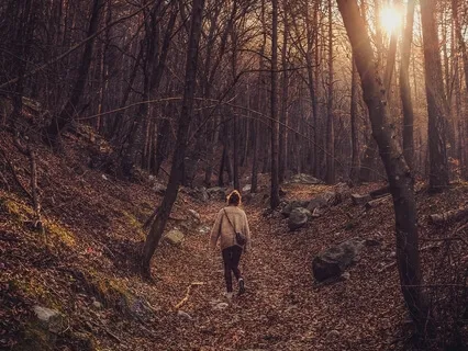 Headlines: A True Nature Walk 