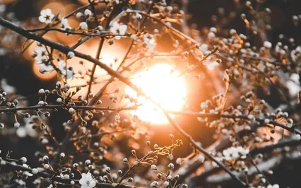 A True Self Meditation