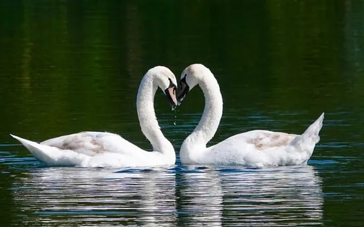 A Valentine Meditation For All