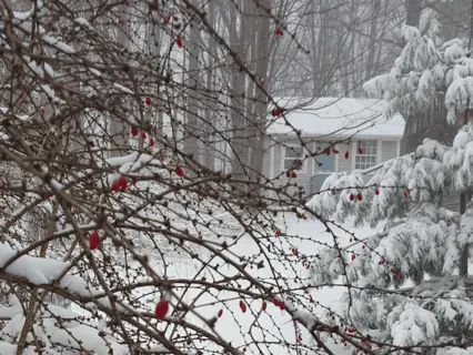 A Visit From St. Nicholas Poem By Clement Clarke Moore