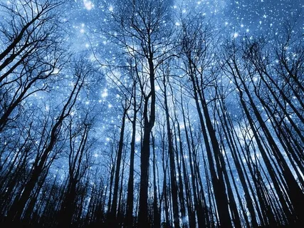 A Visit To The Magician Of Wishes