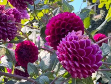 A Visit With Your Inner Child