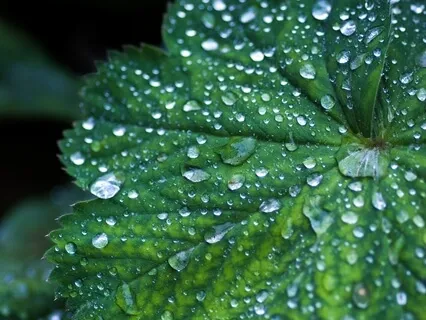 A Visualisation For Loneliness