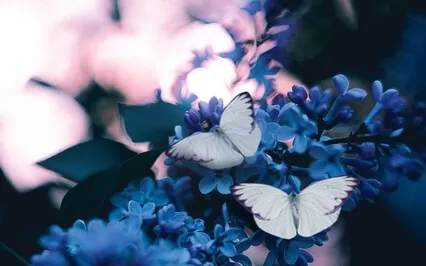 A Visualisation To Help You Focus