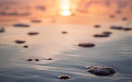 A Visualisation To Help You Move Forward