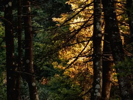 A Visualization For Activation, Focus, And Inner Power