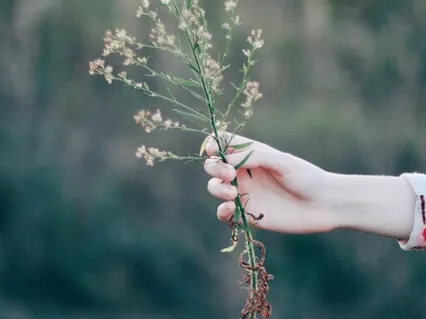 A Visualization For Self-Forgiveness