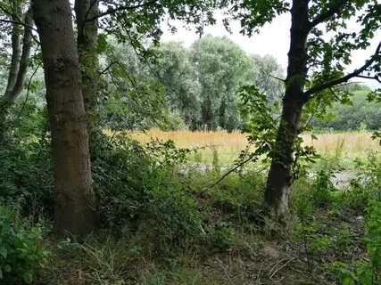 A Walk Along A Country Path