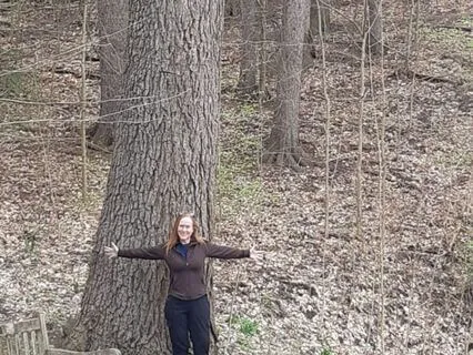 A Walk Along The Woodland Trail: Connecting To Harmony