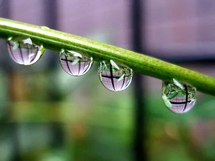 A Walk Between The Raindrops