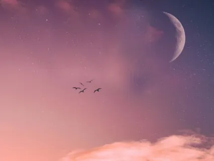 Virtual Forest Bath: 20-Minute Nature Immersion