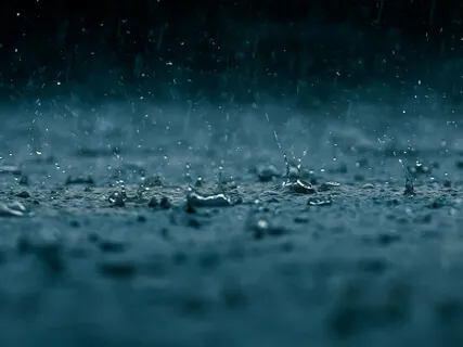 A Walk In The Rain - Carl Borden