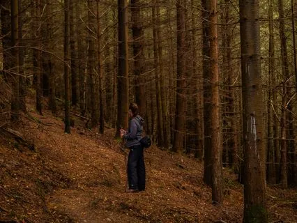 A Walk Through Inner Wilderness - Take A Five Series