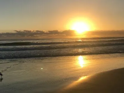 A Walk Through Life Meditation