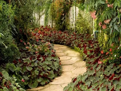 A Walk Through The Garden