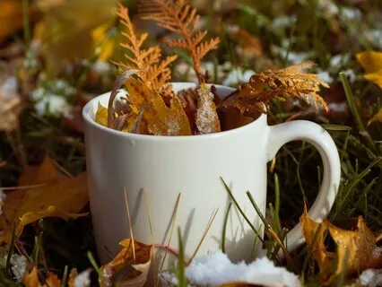 Exercise For Creative Inspiration