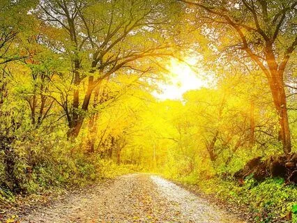 A Walk To Acceptance