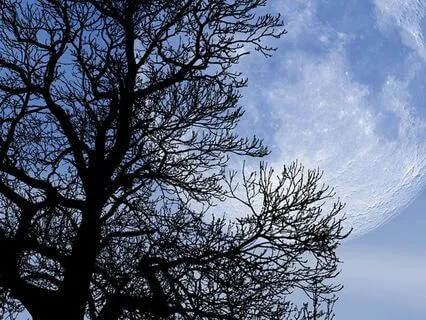 A Walk With The Moon