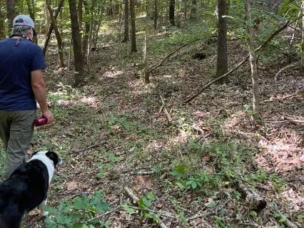 A Walking Meditation