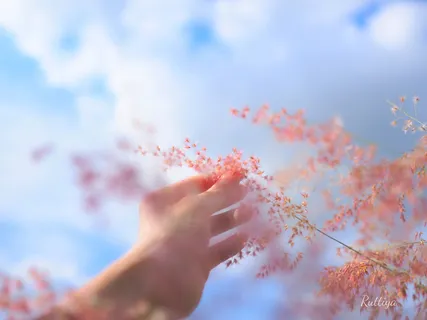 A Walking Meditation On The Wonder Of Our Feet