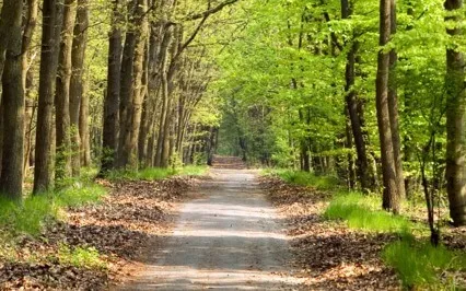 A Walking Meditation Practice