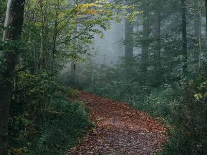 A Walking Meditation To Face Your Fears