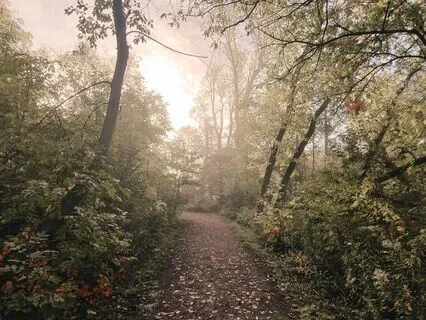 A Walking Meditation