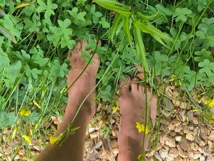 A Walking Practice With Nature - Mindfulness Of Smell