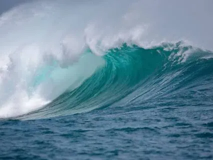 A Wave Is Here: A Somatic Practice