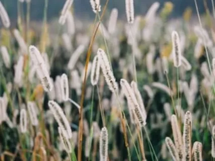 A Way To Accentuate The Positive