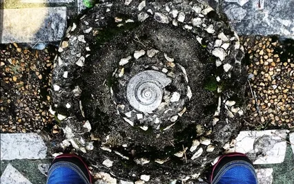 A Wellspring Of Hope