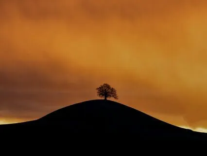 A Woman Who Loves Herself Is  Beautiful