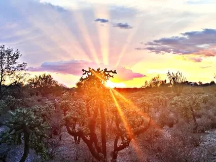 A World Of Light - Guided Meditation