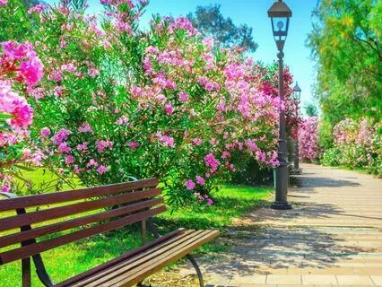 A World Of Possibilities (Long Meditative Bedtime Story)