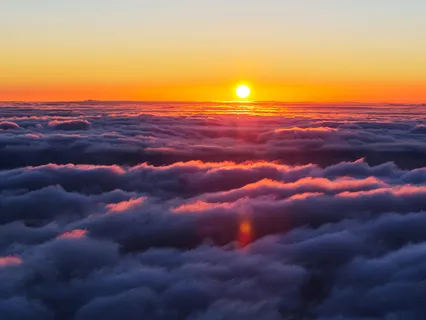 Yoga Nidra To Soften The Mind