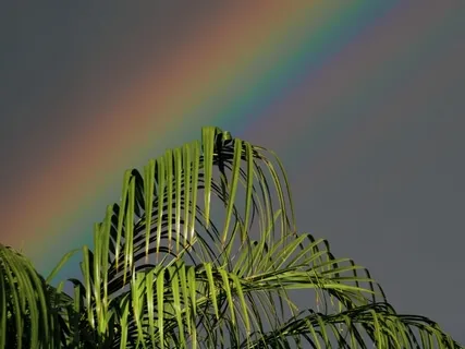 A Yogic Practice To Balance Energy